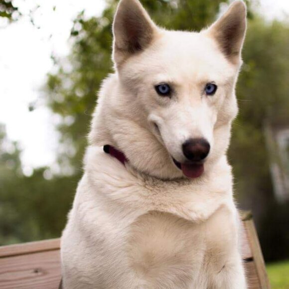 Meet your Posher, Joan - Picture 9 of 15